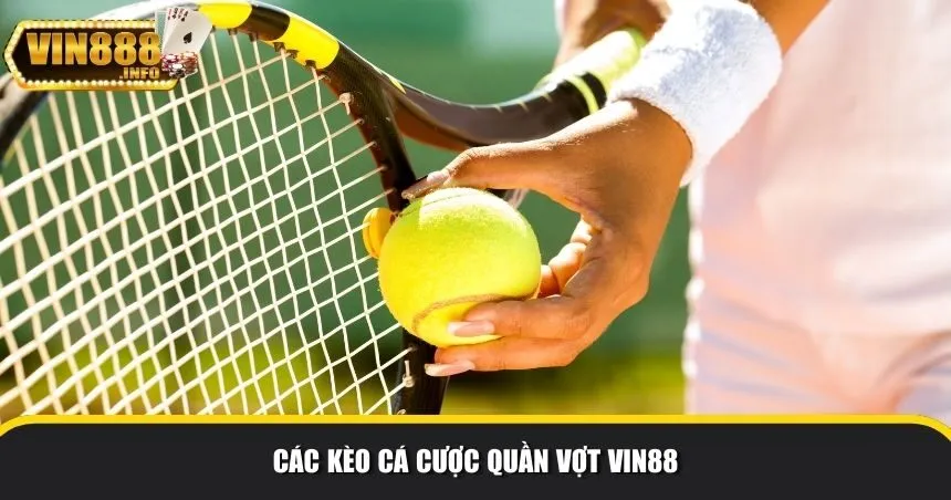 Kèo cược quần vợt Vin88 vô cùng đa dạng 