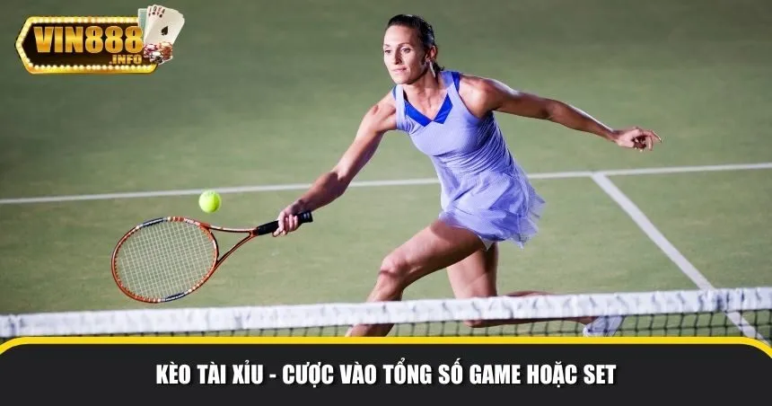 Cược tài xỉu quần vợt được nhiều bet thủ lựa chọn